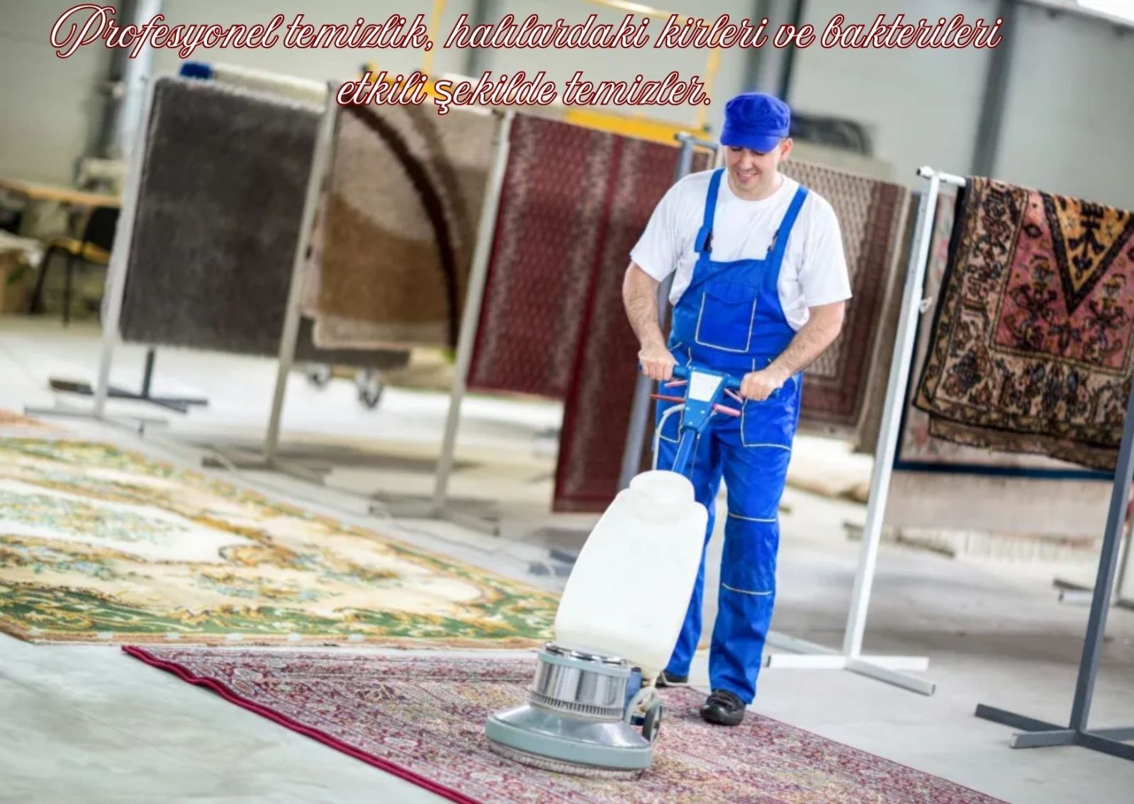 Mezitli Halı Yıkama Firmaları